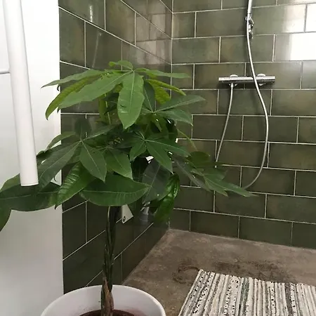 Сasa de vacaciones La Casa Móvil. Casa De Artistas Algodonales